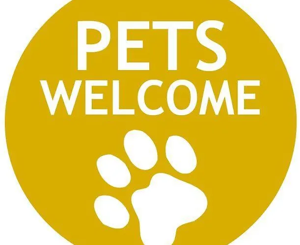 Domus Dei Consoli Bed and Breakfast *